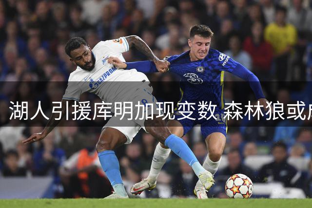 湖人引援库明加现变数 森林狼或成最大竞争对手